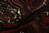 Polished Tiger Iron Stromatolite Section - Billion Years #353248-1